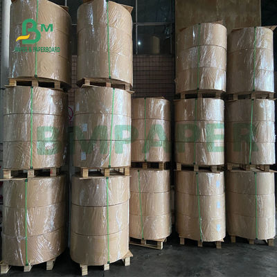 Alıştırma Kitapları İçin OEM ODM Yazdırılabilir Kaplanmamış Woodfree Kağıt