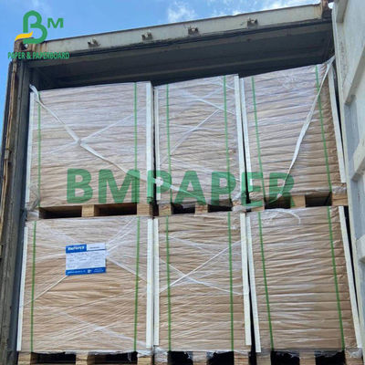 200g - 400g Gıda Sınıfı FBB Karton Gıda Konteyneri İçin Beyaz Selüloz Karton C1S Kağıt 25&quot; x 37&quot; 30&quot; x 22.5&quot;