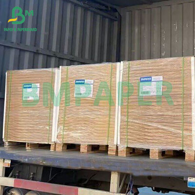 80gm 60gm İyi baskı Yapışkan not için renkli ofset kağıdı