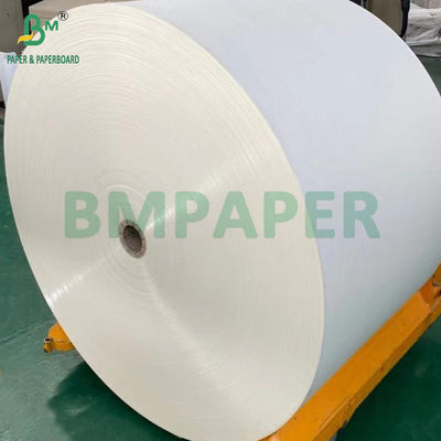 240gm + 18g PE kaplı kağıt çanak paspası su geçirmez 650mm