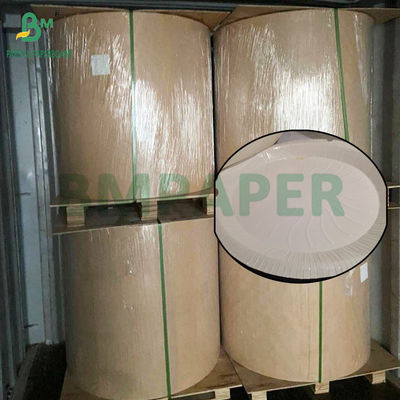 230g - 300g Yüksek sıcaklıklı fırınlar için gıda kalitesi PET tepsisi kaplama ruloları