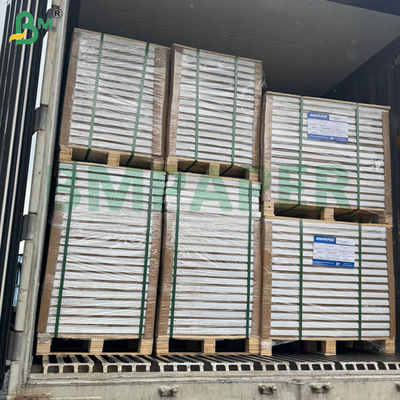 300g 350g 900mm 1000mm Dondurulmuş Gıda Kutusu için Yazdırılabilir Dondurma Sabit Katlanabilir Kağıt