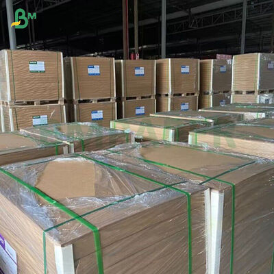 250gm Kağıt fincan için PE kaplı Bambu Kraft Kağıt