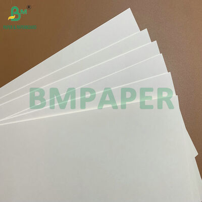 Yüksek Hacimli C1S Kaplamalı 275gsm 325gsm Beyaz Karton Gıda Temaslı Kağıt Tek Kullanımlık Tabaklar ve Gıda Tepsileri İçin