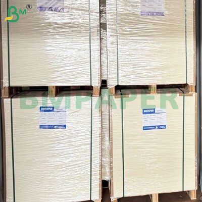 Gıda Kutusu Yapmak için 280gsm + 10gsm PE Kaplamalı Gıda Sınıfı Karton