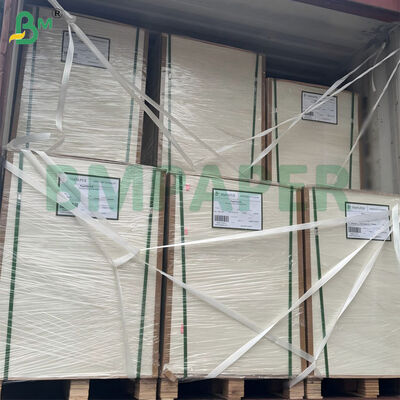 300gm Beyazlatılmamış Şeker Çalı Bagasse Pulp Kağıt Sayfası Biyolojik Bozulur Sertifikalı 787mm X 1092mm