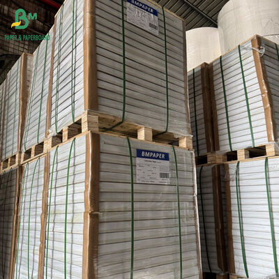 55gm 60gm 65gm Siyah Mürekkep Dijital NCR Kopyalama Kağıdı CB CFB CF 57cm X 87cm