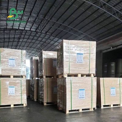 60G 70G 80G 90G Kaplamasız Düz Beyaz Woodfree Ofset Baskı Kağıdı Levhaları 24 * 38&quot;
