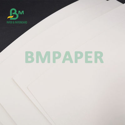 % 100 Odun Hamuru 210g + 15g PE Kaplı Kağıt Levha İçme Bardakları İçin 720mm 880mm