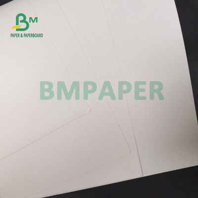 % 100 Odun Hamuru 210g + 15g PE Kaplı Kağıt Levha İçme Bardakları İçin 720mm 880mm
