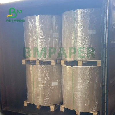 % 100 Odun Hamuru 210g + 15g PE Kaplı Kağıt Levha İçme Bardakları İçin 720mm 880mm