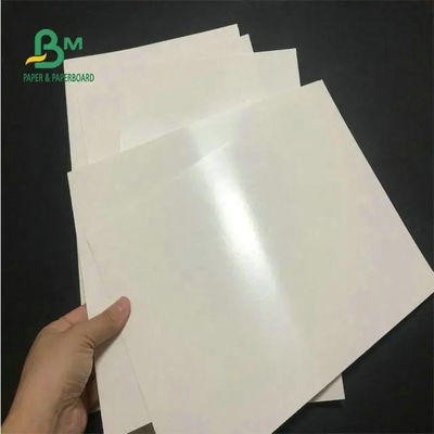 Kahve Fincanı İçin Gıda Sınıfı 260 + 15 PE Kaplamalı Bardak Stok Kağıdı Beyaz