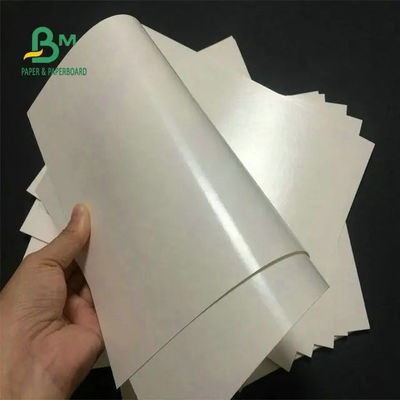 Kahve Fincanı İçin Gıda Sınıfı 260 + 15 PE Kaplamalı Bardak Stok Kağıdı Beyaz