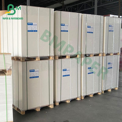 Tek Taraflı Çift Taraflı Bardak Stok Kağıt Karton, 250g + Kase Bardaklar İçin 15 PE Kaplamalı Kart