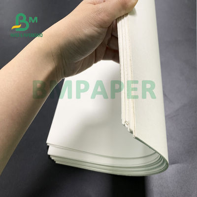 Erişte Kase 700mm X 1000mm için Gıda Sınıfı Bardak Stok Kağıt Kartı
