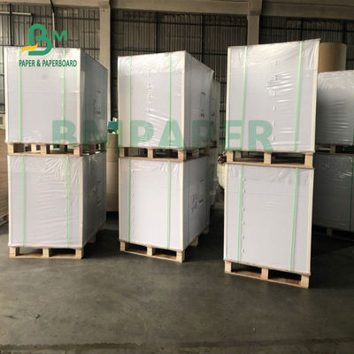 Erişte Kase 700mm X 1000mm için Gıda Sınıfı Bardak Stok Kağıt Kartı