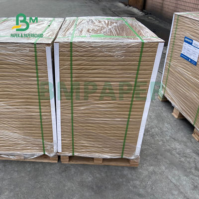 Dondurulmuş Gıda Ambalajı İçin 325gsm 350gsm Beyaz Dondurucu Kağıt Rulosu 37 "X 25" Yüksek Toplu
