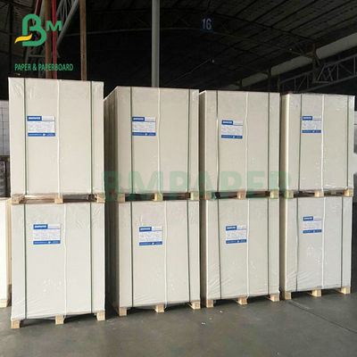 Güçlü Sertlik 300GSM 350GSM Fildişi Karton FBB Kağıdı 72x102cm