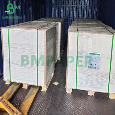 15g PE Kaplı 1 Yan Bardak Sıcak İçecek Bardağı Soğuk İçecek Bardağı İçin Stok Kağıt Karton