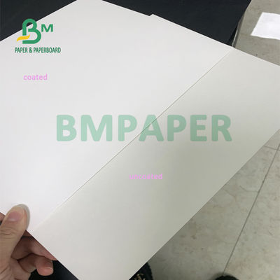 635mm X 914mm Gıda Ambalaj Kağıdı, Paket Servis Kutusu İçin Suya Dayanıklı C1S Sanat Kağıdı