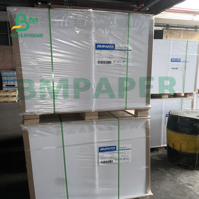 635mm X 914mm Gıda Ambalaj Kağıdı, Paket Servis Kutusu İçin Suya Dayanıklı C1S Sanat Kağıdı