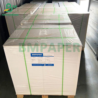 200g 210g Gıda Sınıfı Bardak Stok Kağıt Karton, Kaplanmamış Taban Kağıdı Suya Dayanıklı