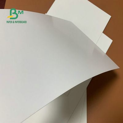 Katlanır Kutu için Beyaz Üst Beyaz Arka SBS Kağıt Karton 190g 210g