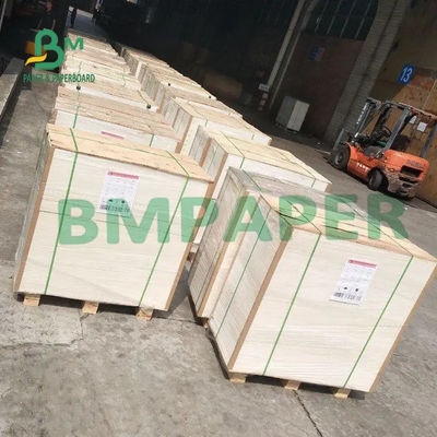 C1S Beyaz Kaplamalı Dubleks Levha Gri Sırtlı 450g Ambalaj İçin Yüksek Kalınlık