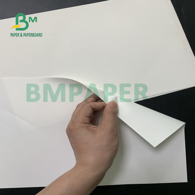 180um PP Sentetik Kağıt, Dış Mekan Reklamcılığı İçin Suya Dayanıklı Yırtılmaya Dayanıklı Kağıt