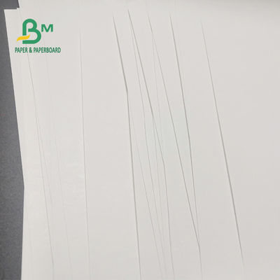 Yazarkasa Net Görüntü 600mm X 9000m için 65gsm BPA Ücretsiz Termal Kağıt Rulosu