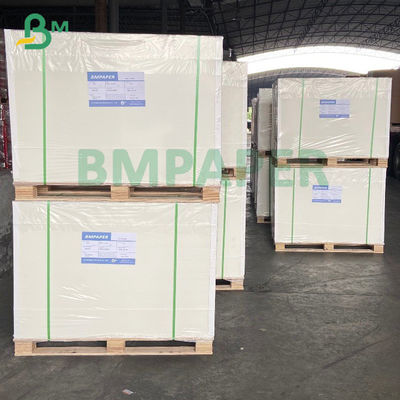 Gıda Ambalajı İçin 250gsm 420 Mikron Rulo Dondurucu Kağıt Tek Taraflı Kaplamalı