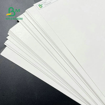 700 X 1000mm SBS Kağıt Karton, C1s Çalışma Yüzeyi 230GSM 250GSM 300GSM 350GSM