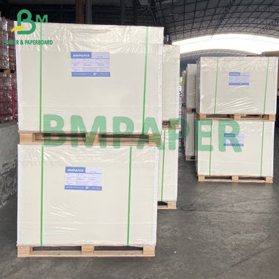 Kaplamasız Ofset Baskı Beyaz Bond Kağıt Rulo 80 Gsm 700 X 1000mm