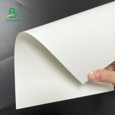 Gıda Ambalajı İçin 30 X 40 İnç Dondurucu Kağıt Rulo 12pt 14pt 18pt Beyaz C1S Artboard