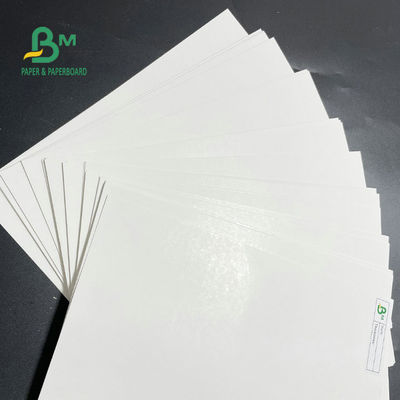 Gıda Ambalajı İçin Tek Taraflı Kaplamalı Dondurucu Kağıt Rulo 275gsm 325gsm