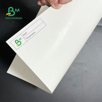 Gıda Ambalajı İçin Tek Taraflı Kaplamalı Dondurucu Kağıt Rulo 275gsm 325gsm