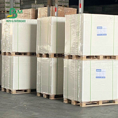 Gıda Ambalajı İçin Tek Taraflı Kaplamalı Dondurucu Kağıt Rulo 275gsm 325gsm