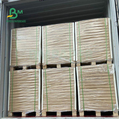 Gıda Ambalajı İçin Tek Taraflı Kaplamalı Dondurucu Kağıt Rulo 275gsm 325gsm