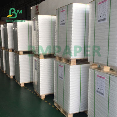40gsm + 10g PE Kaplı Kağıt Levha Şeker Poşeti İçin Suya Dayanıklı Gıda Güvenli 70cm