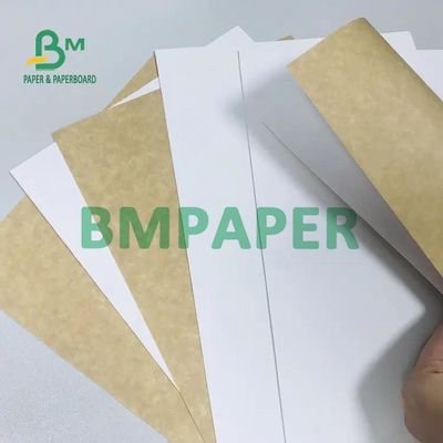 Beyaz Üst Kraft Sırtlı Yüksek Hacimli CCKB Karton 250G 270G 300G