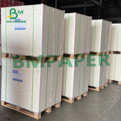 Donanım Blister Ambalaj için 300gsm 450µM Blister Board Kağıt Levha