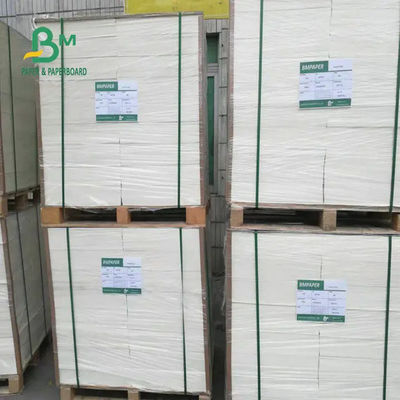 Isı Yalıtım Kupası Stok Kağıt Kartı Suya Dayanıklı 1200mm 190gsm 210gsm 240gsm