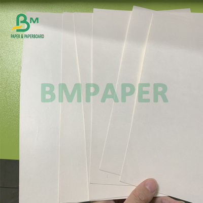135gsm + 15gsm Polycoated Cup Stock Kağıt Karton Katlama Direnci