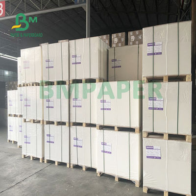 230gsm + 18gsm Bardak Stok Kağıt Karton Güvenli Erişte Kaseleri İçin Koku Yok Özelliği