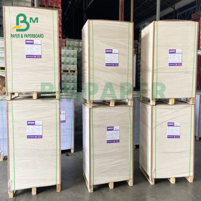 PE Kaplamalı Bardak Stok Kağıt Karton Suya Dayanıklı Gıda Sınıfı 150gsm + 13gsm