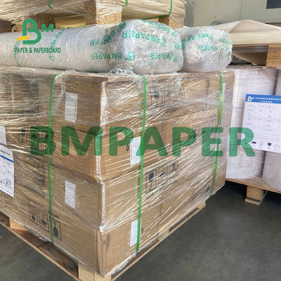 Günlük Kullanım İçin Ham Odun Hamuru Malzemeli Tek Taraflı Mavi 20LB Plotter Kağıdı
