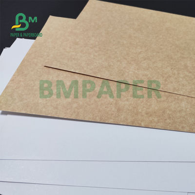 325gsm Üniforma Beyaz Kaplamalı Kraft Arka Kağıt Ekmek Ambalajı İçin 70 X 100cm