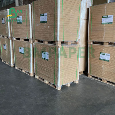 325gsm Üniforma Beyaz Kaplamalı Kraft Arka Kağıt Ekmek Ambalajı İçin 70 X 100cm