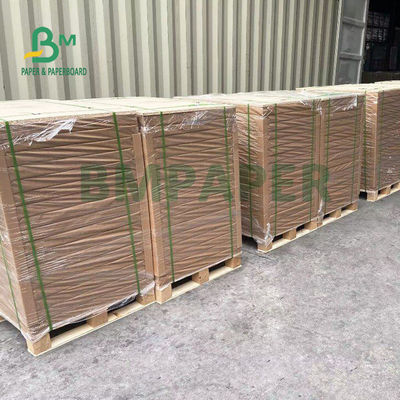 Çift Taraflı Kuşe C2S Parlak Kağıt 300gsm 350gsm 25 X 38inç