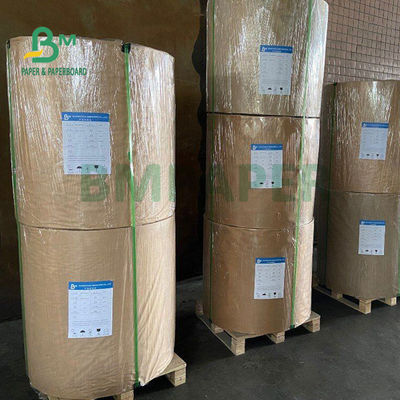 Fast Food Öğle Yemeği Kutusu Paketi 700mm için 230gsm + 15g PE Beyaz Yağlı Kağıt